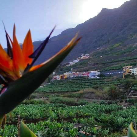 Casa Rural La Pitanga 헤르미가 외부 사진