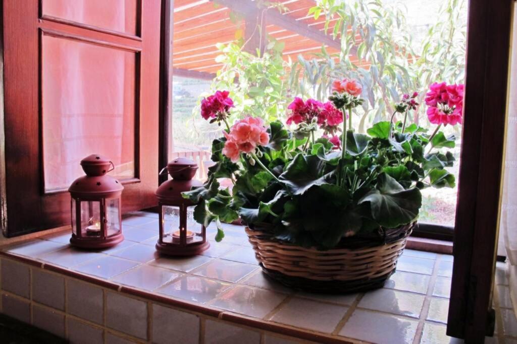 Casa Rural La Pitanga 헤르미가 외부 사진