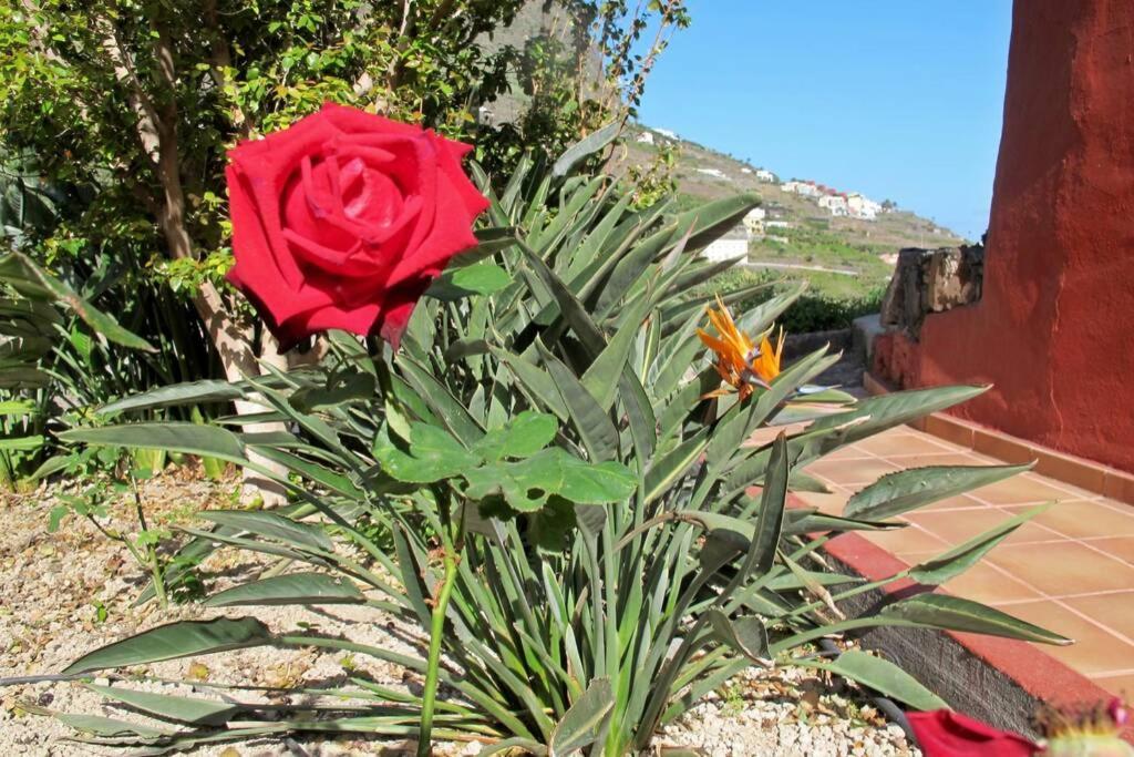 Casa Rural La Pitanga 헤르미가 외부 사진